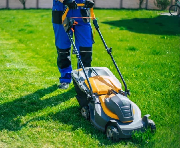 http://Lawn%20Cutting%20Services